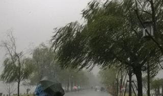 杭州西湖被暴雨隐藏了 杭州西湖被暴雨隐藏了